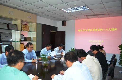 东升国际集团党总支组织学习十八大精神