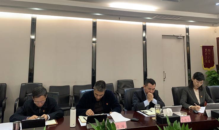 东升国际集团党委召开2020年全面从严治党（党建）工作专题会
