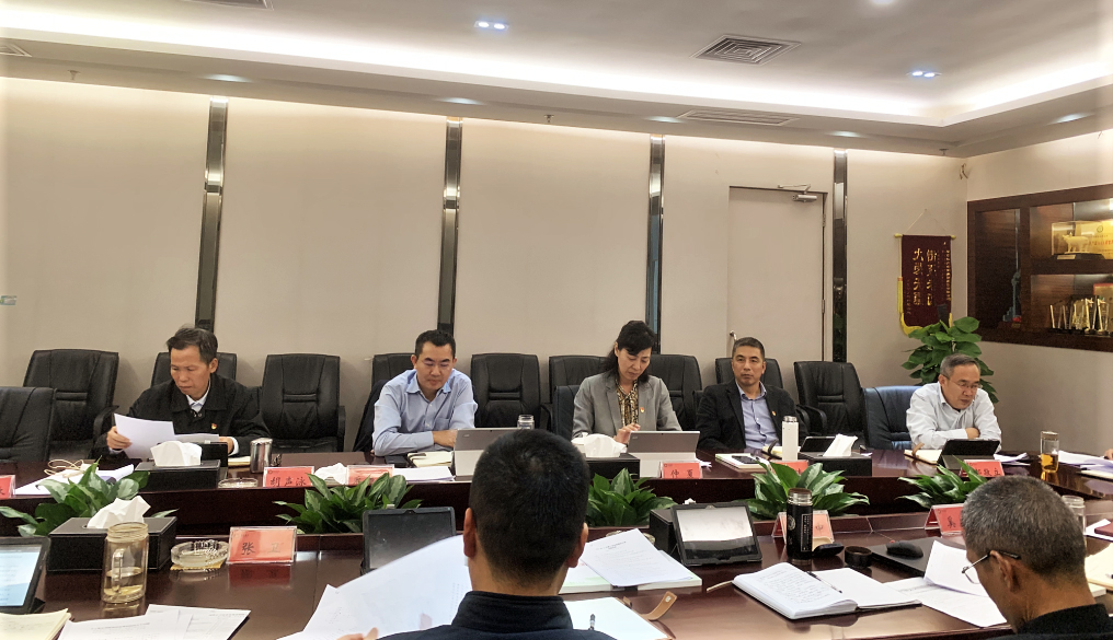 东升国际集团党委召开巡察整改工作领导小组会议
