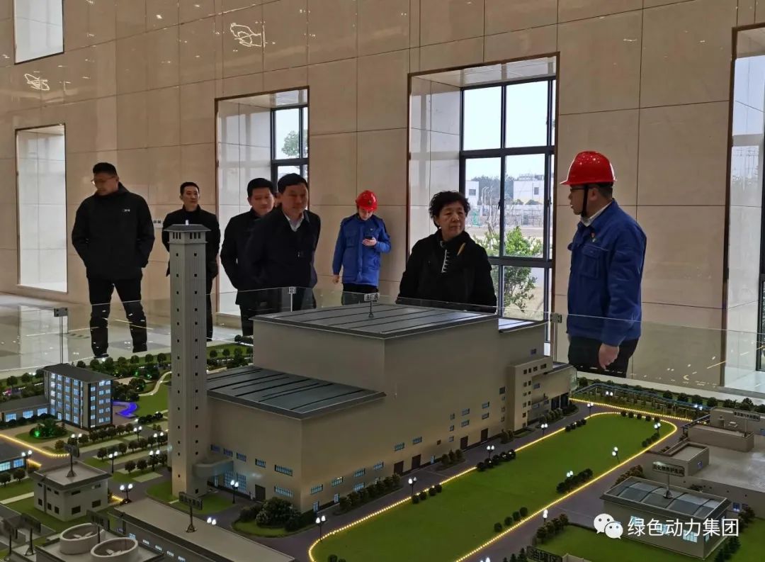江西省生态环境厅一级巡视员石晶调研东升国际丰城项目